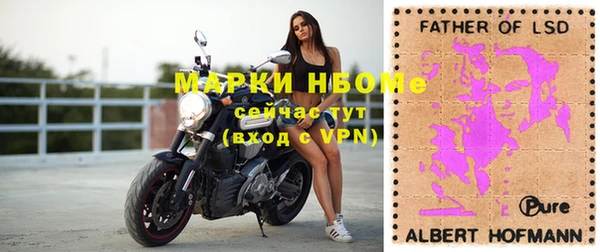 молекула духа Алзамай
