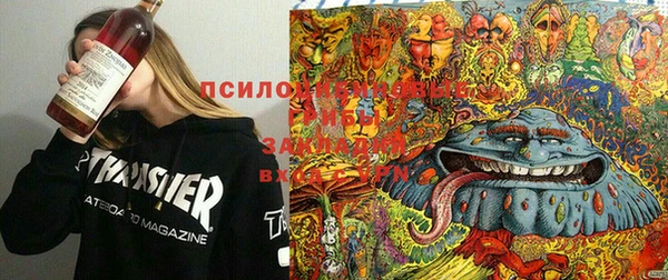альфа пвп Алексин