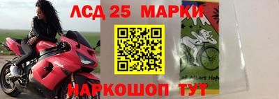 spice Ставрополь