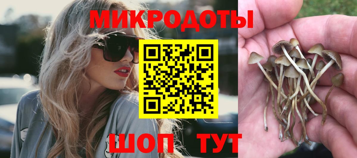 Родники  Галлюциногенные грибы Cubensis  купить  цена  Вход с VPN 